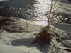 Another river shot